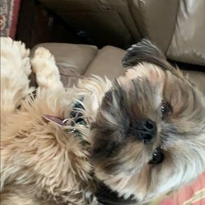 Meet your Posher, Lexie